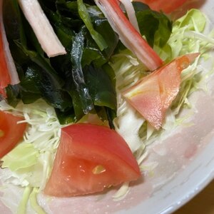 ワカメ入り野菜サラダ